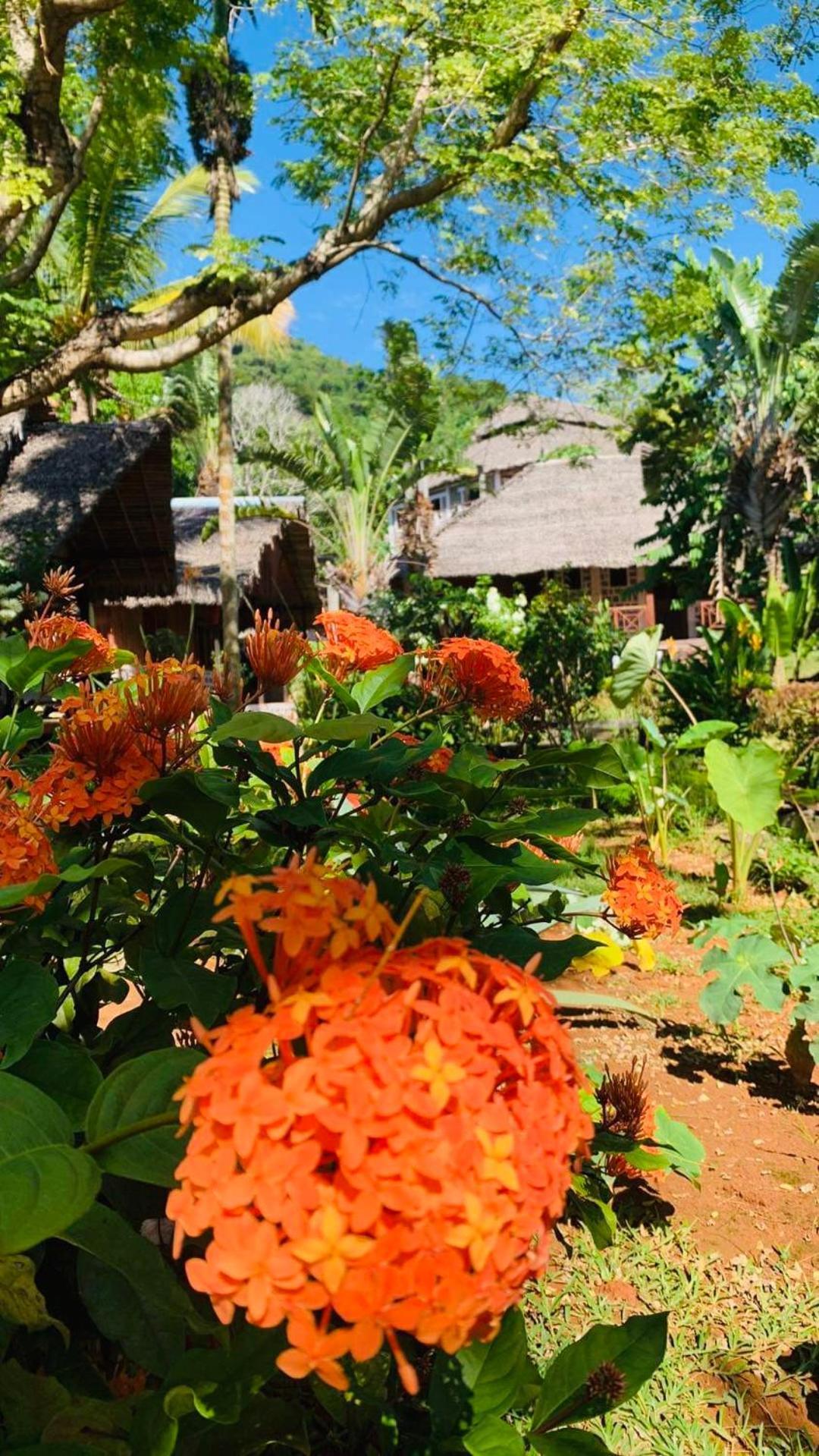Tamarin Lodge Ampangorinana Extérieur photo