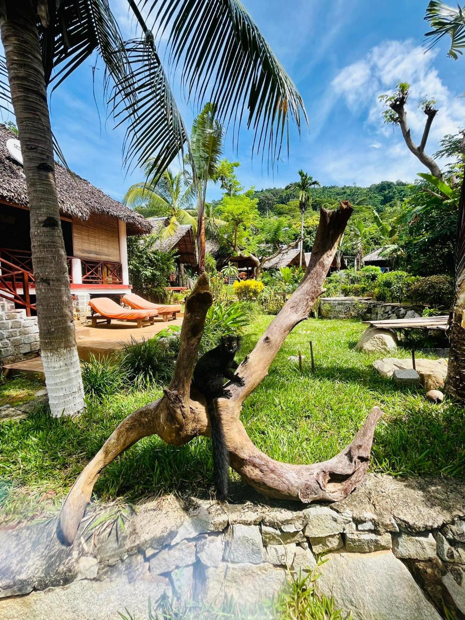 Tamarin Lodge Ampangorinana Extérieur photo